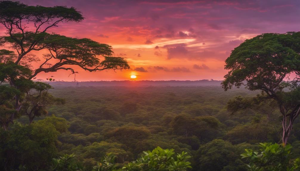 visiting yala in summer